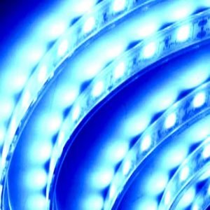 סרט לד Blue Strip Led 2.4w